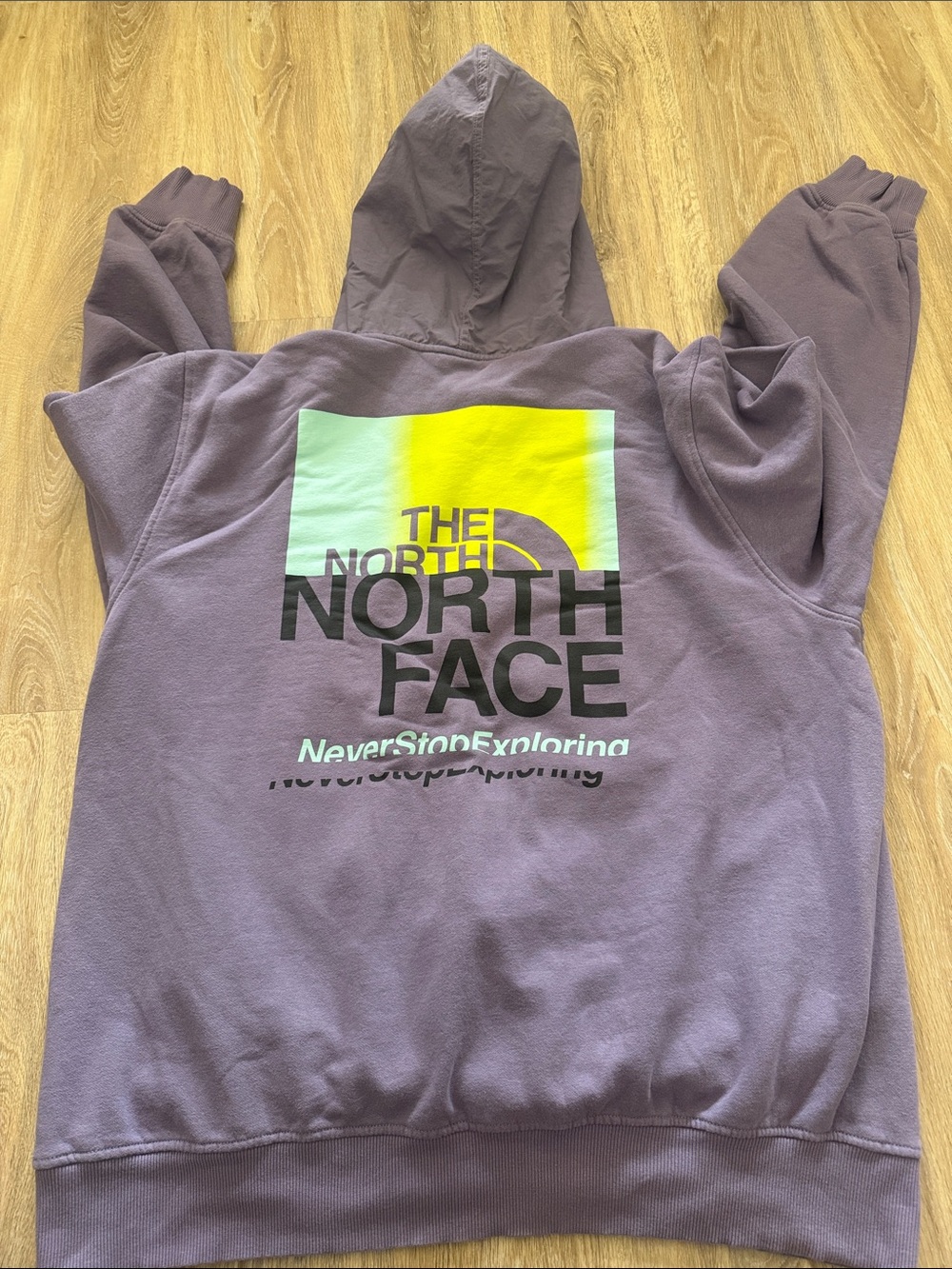 The North Face Mauve Hoodie with Neon Yellow & Mint Back Graphic